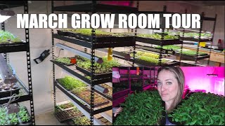 March Grow Room Tour : OH SNAP, Bells Update & MORE : Flower Hill Farm