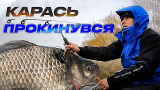 🐠 Перший Весняний КАРАСЬ-Клювастер на фідер. Глянь яка кругла морда! Сезон КАРАСЯ відкрито!