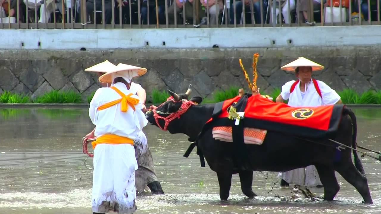住吉大社 御田植神事 YouTube 住吉大社 御田植神事 YouTube