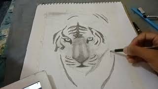 hyper realistic for Tiger 🐯 drawing