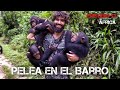 MI FAMILIA CHIMPANCÉ | Vuelta al mundo en moto | África #57