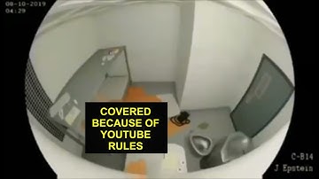 Is EPSTEIN FILES VIDEO a FAKE??? (idk) - I EDITED FOR YOUTUBE!