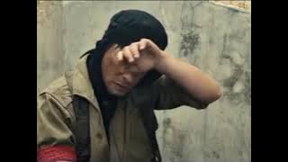 Snap Status WhatsApp VIRAL! Greenday - 21Gun #peace