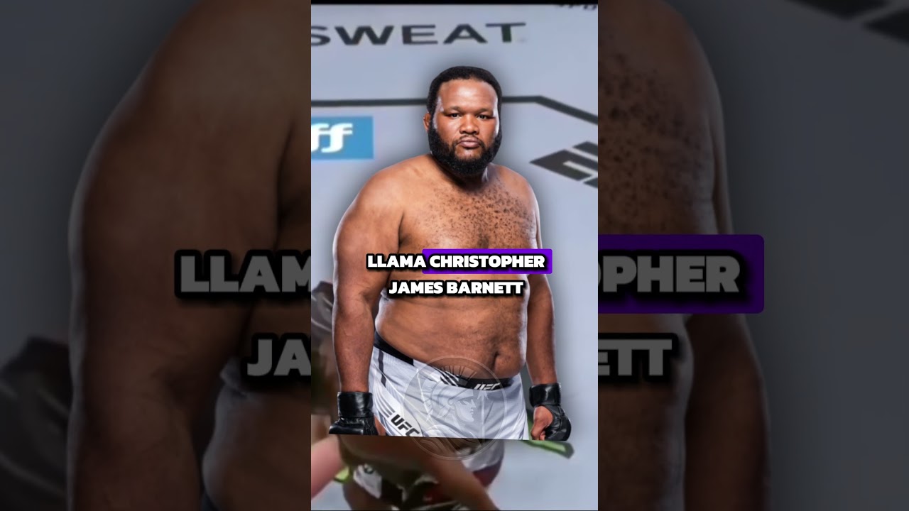 El KUNG FU PANDA de la vida REAL🐼🥊#shorts #ufc #mma #ufcfight #hypelegion
