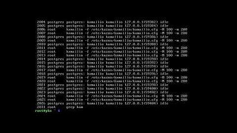 Kazoo VoIP ,  PBX for small and embedded computers.