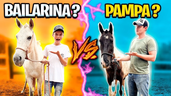 CAVALO PULANDO com PEÃO ABEIA será que CAIU ? 