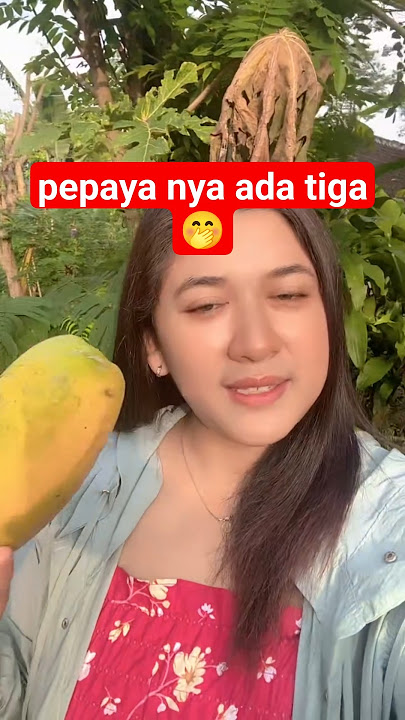 pepaya nya ada tiga #gemoy #cinematiksawah #bodorsundaterbaru