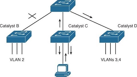 VTP Pruning in 30 minutes | CCNA |CCNP| CCIE
