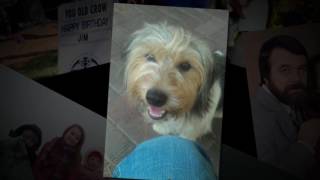 James Boyd Seymour Jr  | Funeral Service Video Tribute | Elizabeth City NC