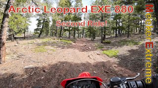 Arctic Leopard - Messing around on the EXE 880!