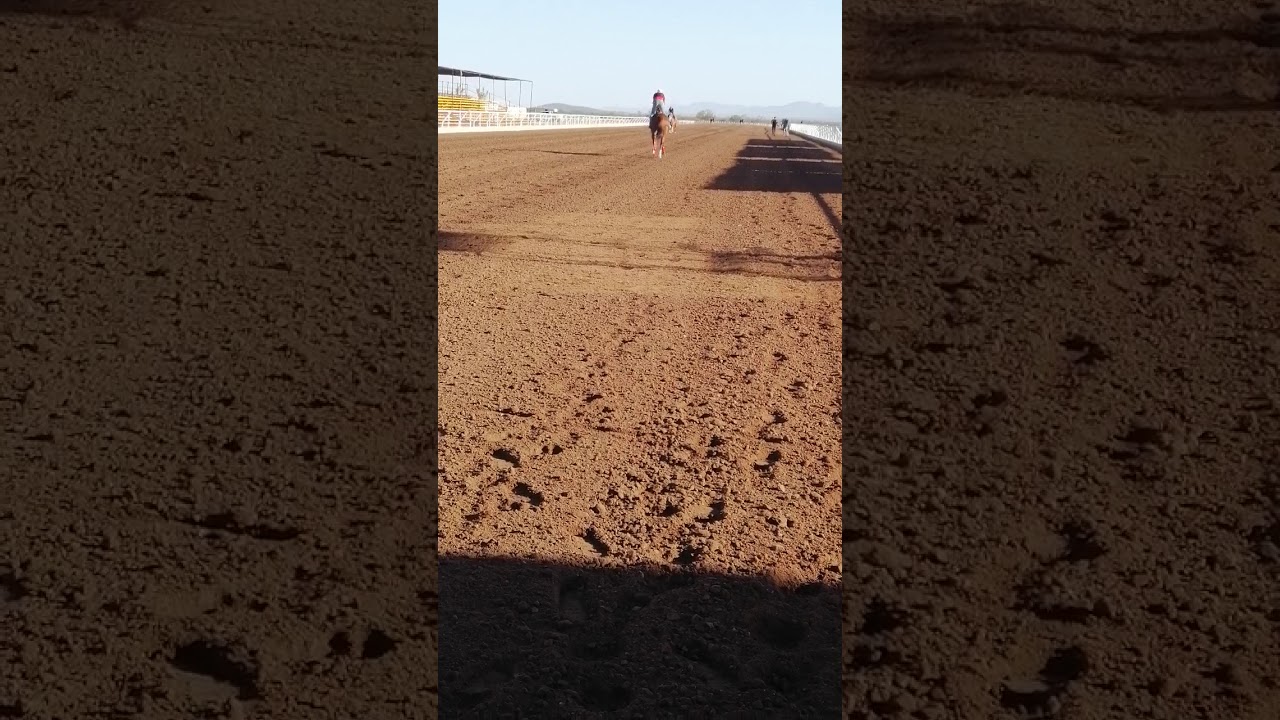 Cuadra Kino y Cuadra La Morita trabajando en la catedral de los eventos Satevo Race Track.