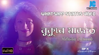 Bukura Majota By Ritrisha Sarmah | WhatsApp Status Video | Assamese Song | Jeet Creation