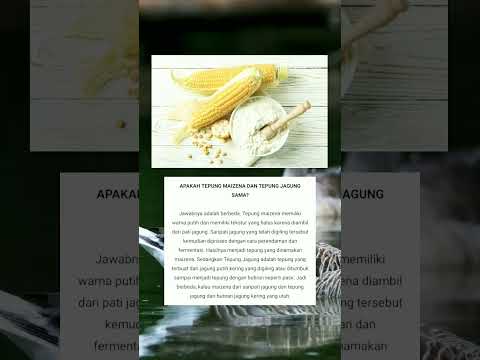 Video: Di apakah tepung jagung?