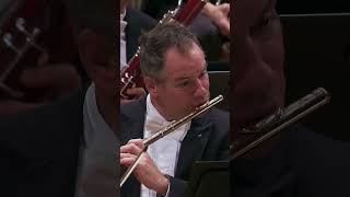 Shostakovich Symphony No. 10