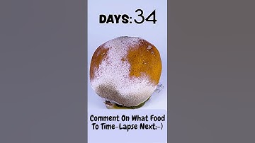 The Amazing Transformation of a Rotten Orange: Time-Lapse Video #shorts