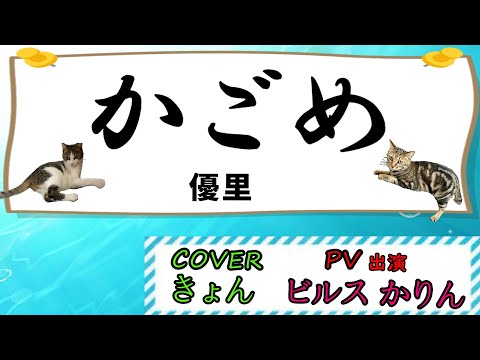 ねこ様癒しPV【かごめ】歌ってみた ~　#歌詞付き　#pokekara　#癒し　#猫　#優里