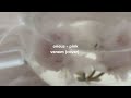 oneus - pink venom speed up