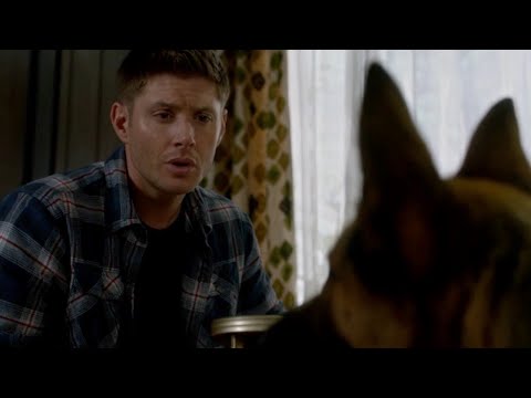 Supernatural - Dean Turns Into A Dog 9x4