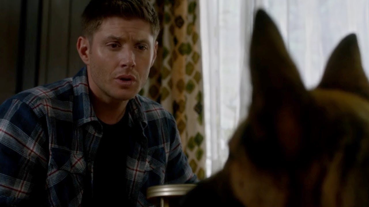 Supernatural - Dean Turns Into A Dog 9x4 - YouTube