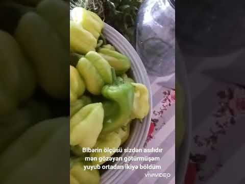 Video: Sibir üçün şirin Və Isti Bibərin Növləri