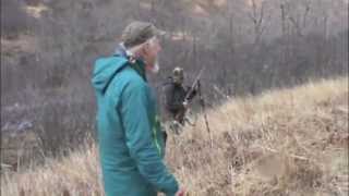 Kodiak Brown Bear Hunt