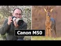 Using the Canon EOS M50 Mirrorless Camera to Photograph Roe Deer