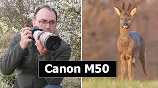 Using the Canon EOS M50 Mirrorless Camera to Photograph Roe Deer