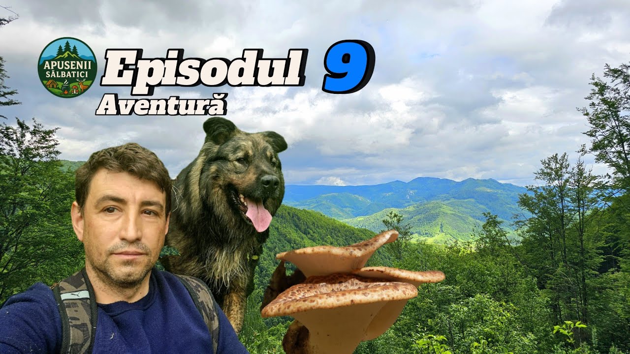 M-a Prins Ploaia După Ciuperci și m-am Răcit… Aventura din Apuseni 🍄🌧️ | Ep. 9