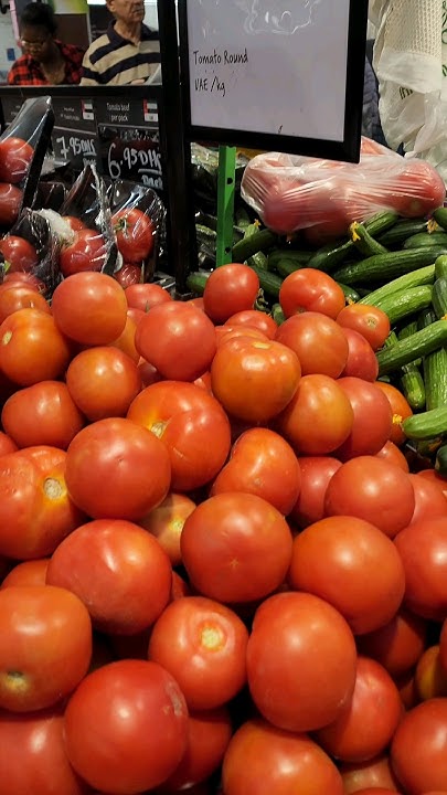how-much-does-food-cost-in
