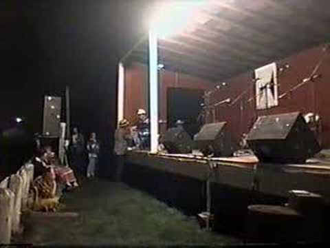 Mike Johnson's "Johnny Weissmueller" comment * 1999 Avoca Festival