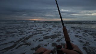 Calm Before the California Storm #surffishing #surfperch #montereybay