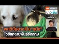 ผลวิจัยอาจเป็น “สุนัข”  ไวรัสกลายพันธุ์อังกฤษ | TrueVroom | TNN ข่าวเย็น | 20-04-21