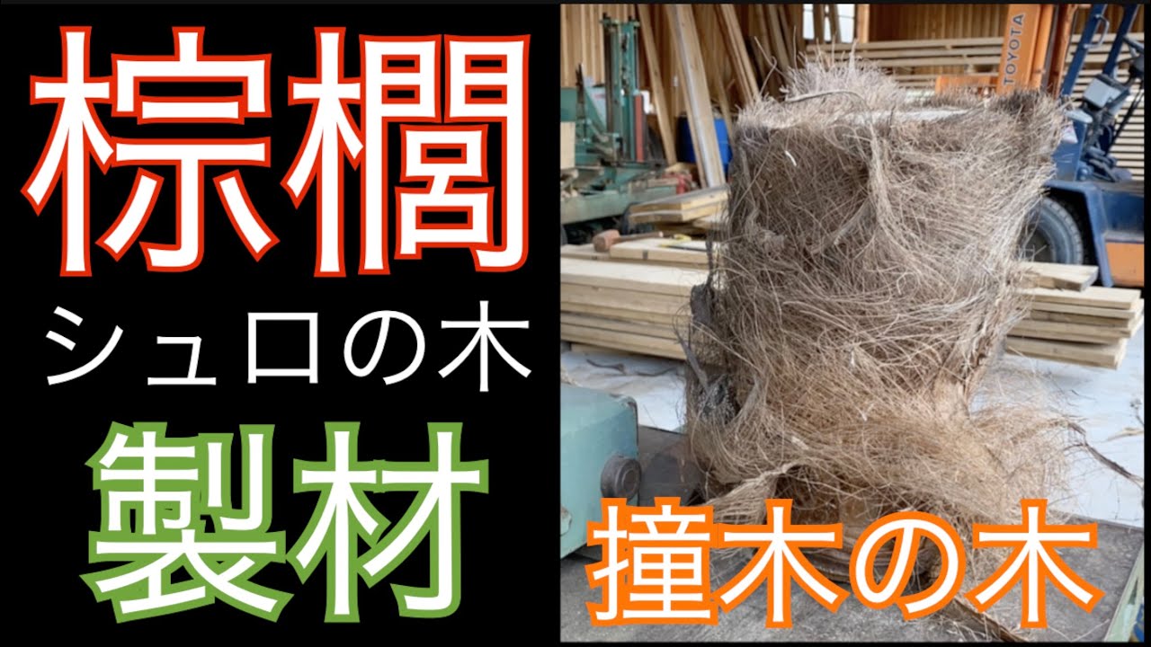棕櫚（シュロ）の製材 - YouTube