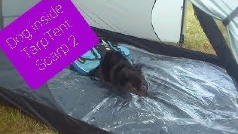 Tarptent Scarp 2 on Dartmoor with Bess the dog inside an initial pitch.