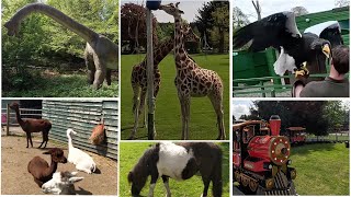 Scotland Dinosaur Park Blair Drummond Safari Adventure Park Safari Ride Zoo