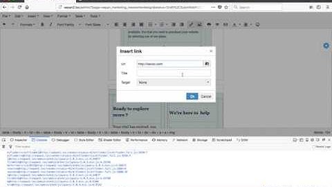 tinymce issue image link - Xavoc ERP CRM