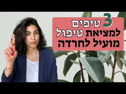 וִידֵאוֹ: כיצד לטפל בהתקפי חרדה קלה (עם תמונות)