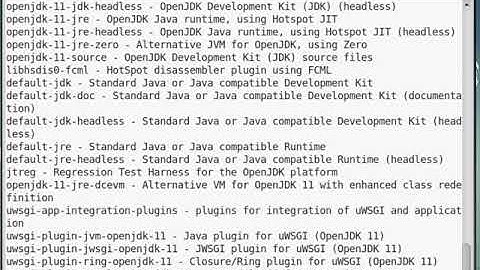 How to install Kotlin language on a Linux Debian 10 operating system