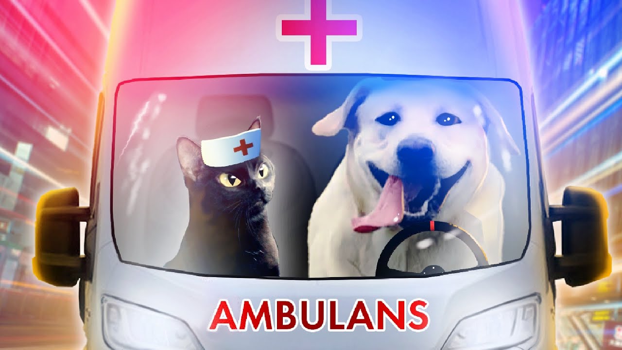 Co mówi: PIES RATOWNIK