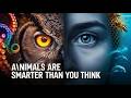 Hidden Animal Intelligence Scientists Can’t Ignore #animalintelligence  #wildlifescience