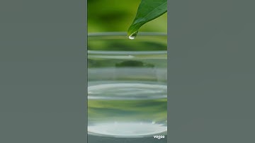 💧Water Droplets Falling Sound🌿 #asmr #relaxing