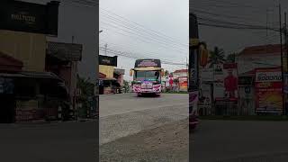 Viral Bus Telolet Panjang Pariwisata Teguh Muda