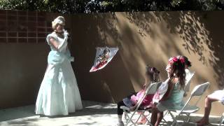 Cinderella Hosted Kristas 7Th Birthday Party