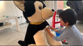 Yuşa Veteriner Oldu Yaralanan Köpeğe İğne Yaptı - Veterinercilik Oyunu, Doktorculuk Oyunu