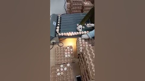 Moba Mobanette 3 Yumurta Tasnif Makinası 2021 Model