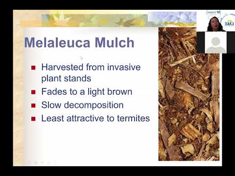 Video: Kompostering. Reservoar Mulch Metod