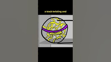 Who else has tried one of these? ✋😁