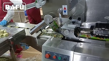 flow wrapper, horizontal packing machine,freeze-dried food packing machine,automatic packing machine