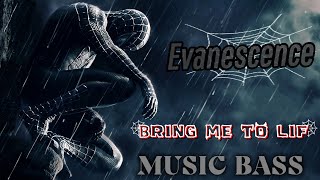 Evanescence  Bring Me to Lif 