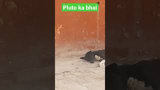 Pluto Ka Bhai Patato